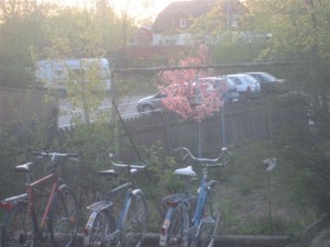 korsbarstradet-lyser