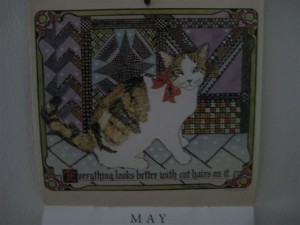 lilla-kattkalender-i-maj