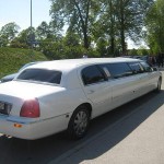 limousin