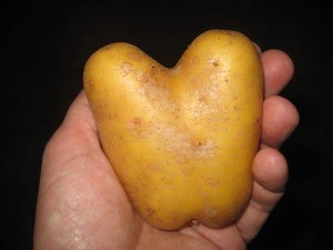 potatis-som-ett-hjarta