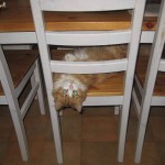 wilma-galen-2