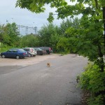 11 Wilma på bakgården