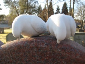 Frusna duvor på gravstenen Frusna duvor på gravstenen