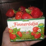 JORDGUBBAR från Finnerödja