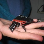 Origami groda