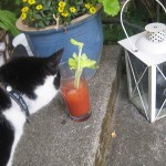 en-bloody-mary-pa-trappan