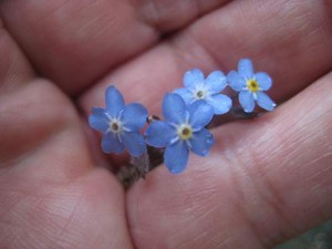 forgat-mig-ej