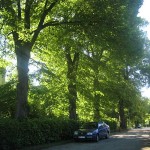img_4960
