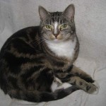 mitzy