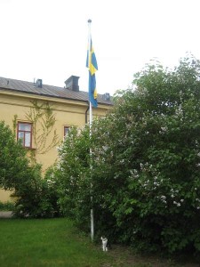 svenska-flaggans-dag-2009