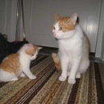 unge-och-mamma