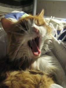 wilma-gaspar_resize