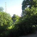 Frodig gård