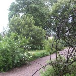 Gården i regn 090709