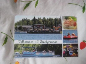 IMG_5822