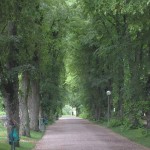 Kyrkogården 4 juli 09