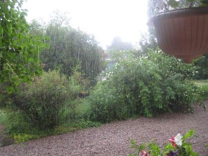 Skyfall och åska 3 juli 09