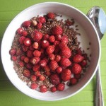 Vilken frukost Smultron 25 juli 09