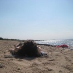 Ensam på stranden