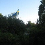 Flagga2