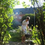 Grillfest 2