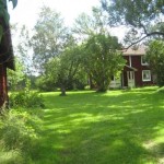 Huset i gläntan
