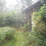 Hällregn 29 aug 09
