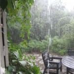 REGN 28 aug 09