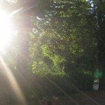 Solljus