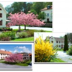 omskolan