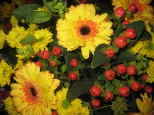 Carl-Johans blommor