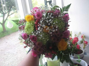 IMG_7172