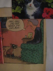 Kattlådan ska rensas serie