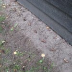 Musgravar