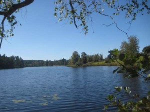 Regna 090919