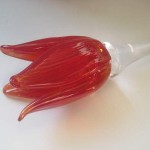 Tulpan i glas