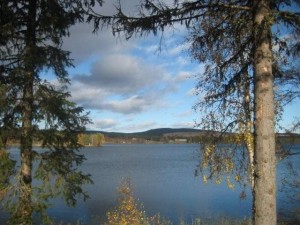 gråträsk