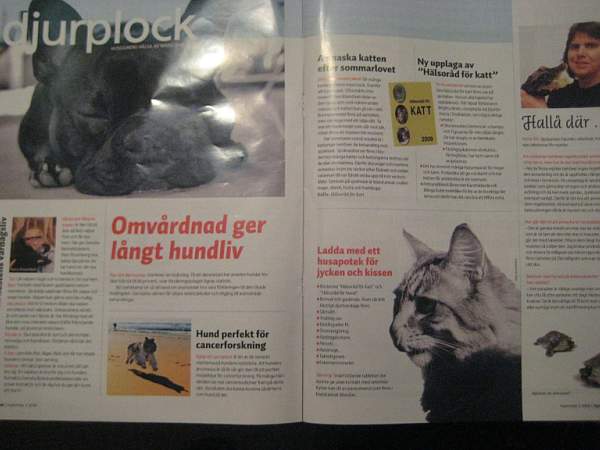 Apotekstidningen 2