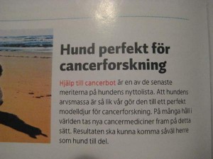 Apotekstidningen 3