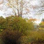 Gården 27 okt 09
