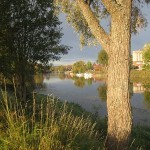 Höst i Arboga 6