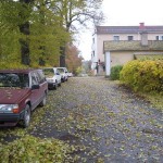 Löv på garageuppfarten