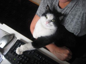 Svårt att skriva med Felix i knät