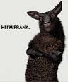 Tele2sheep