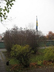 Fars Dag 2009 (2)