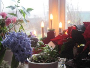 Första advent KÖKET