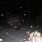 Snö morgonen 15 dec 09