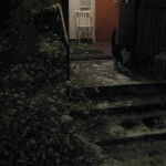 Tveksamt om Felix vill gå ut idag 15 dec09