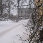 Bister lördagsmorgon
