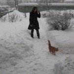 Onödigt snöfall4